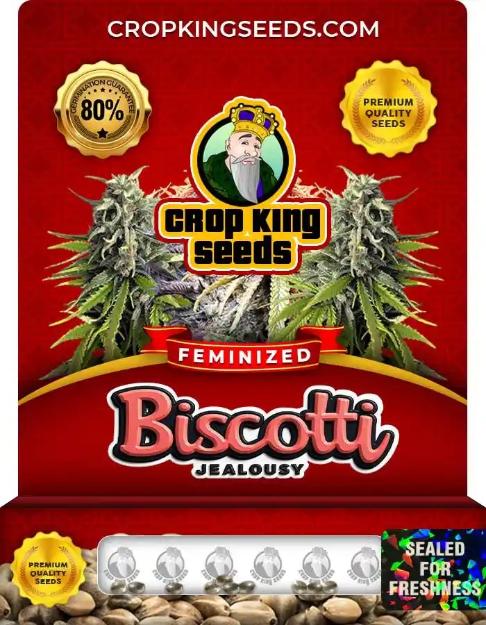 Biscotti Jealousy Feminized Seeds