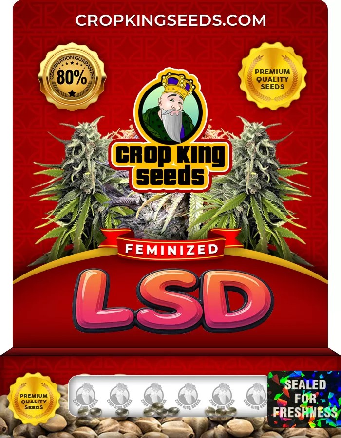 LSD Feminized Marijuana Seeds
