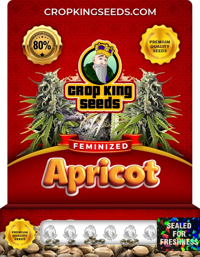 Apricot Feminized Marijuana Seeds