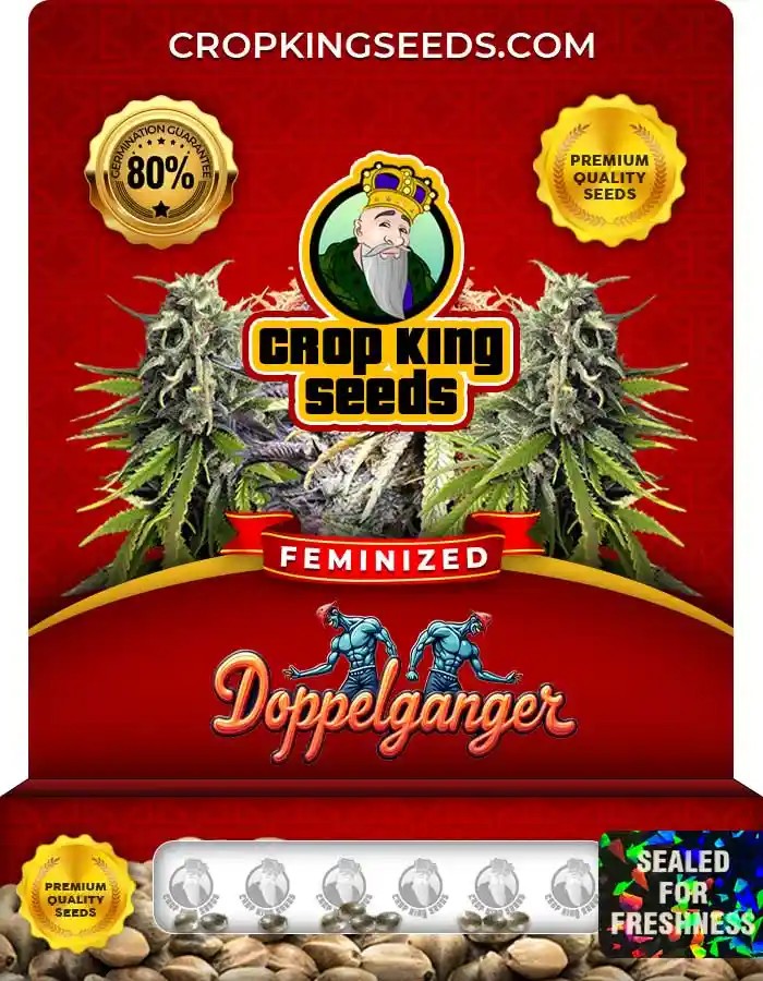 Doppelganger Strain Feminized Marijuana Seeds