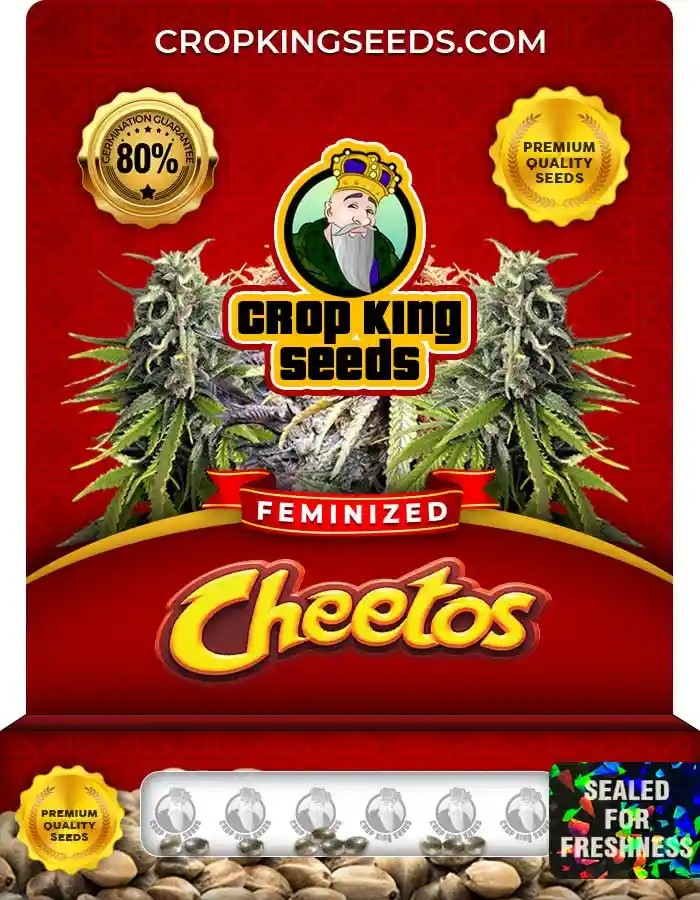 Cheetos Strain Feminized Seeds