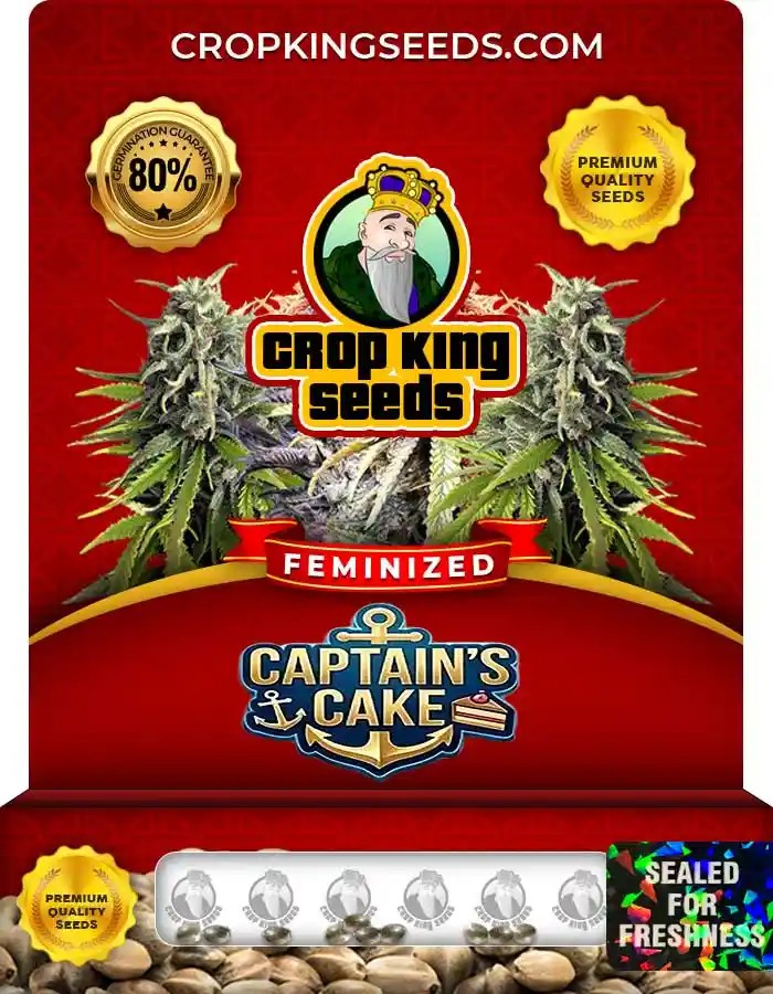 Captain’s Cake Feminized Seeds