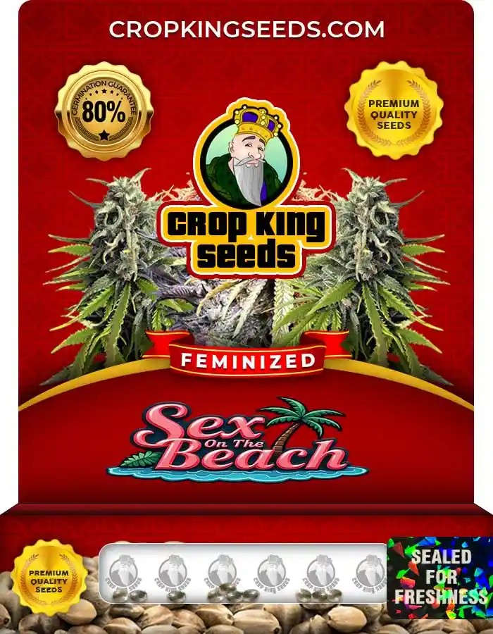 Sex on the Beach Feminized Marijuana Seeds