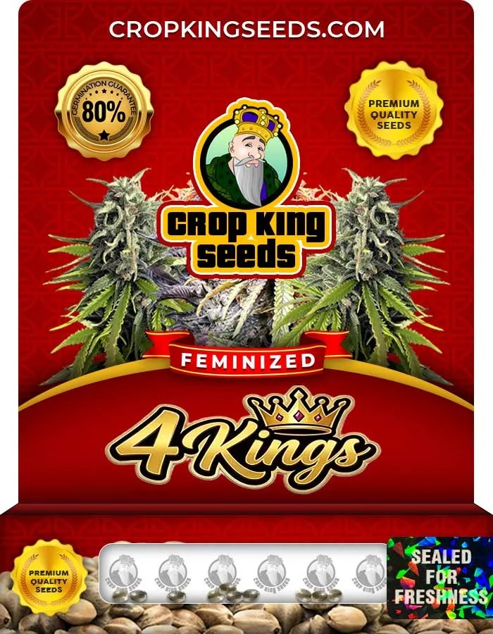 4 Kings Strain Feminized Seeds