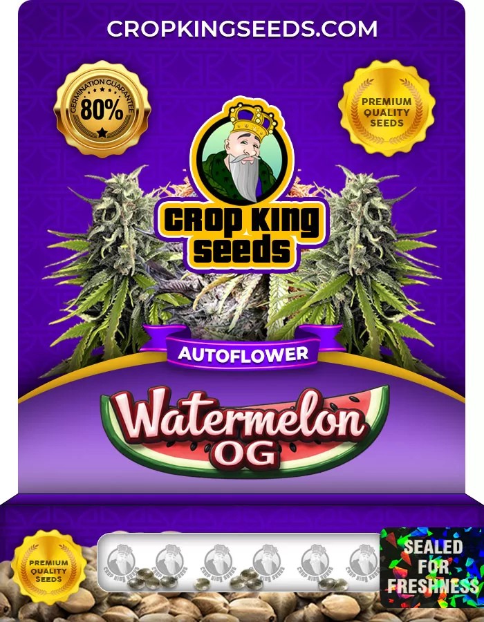 Watermelon OG Autoflower Marijuana Seeds