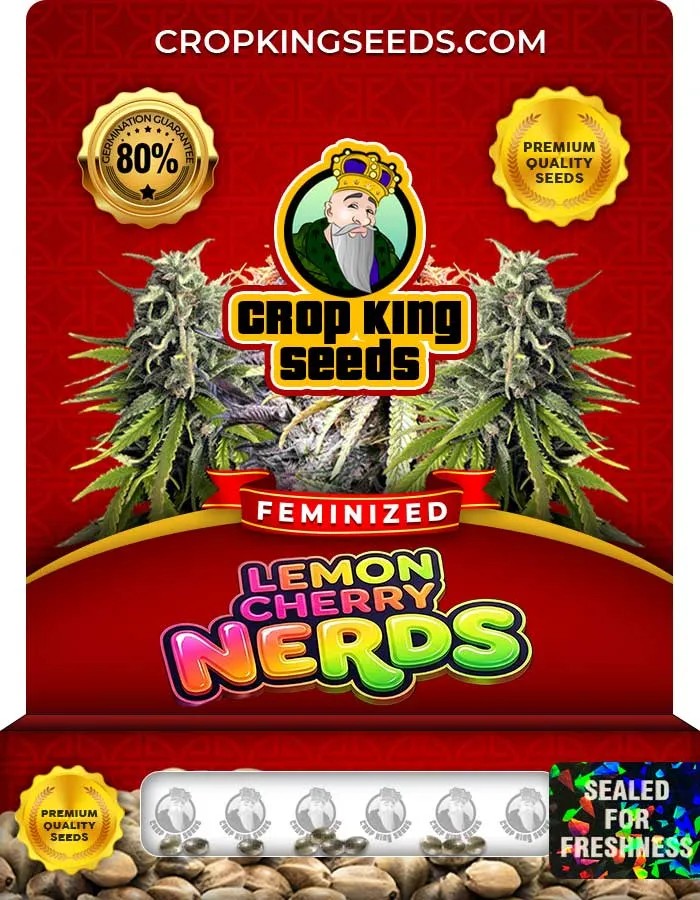 Lemon Cherry Nerds Strain Feminized Seeds