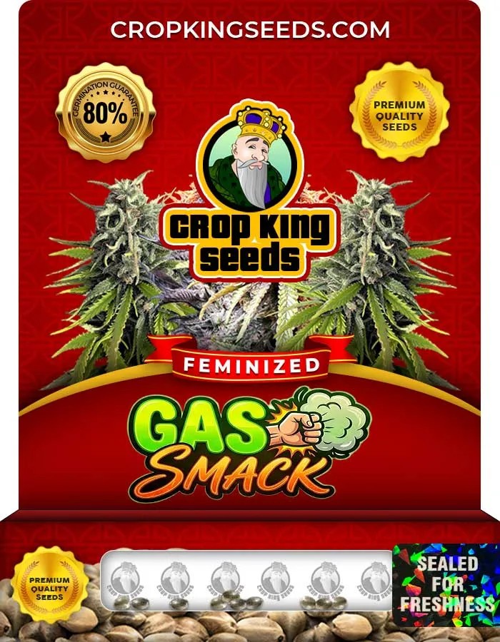 Gas Smack Strain Feminized Seeds