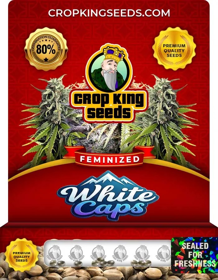 White Cap Strain Feminized Seeds