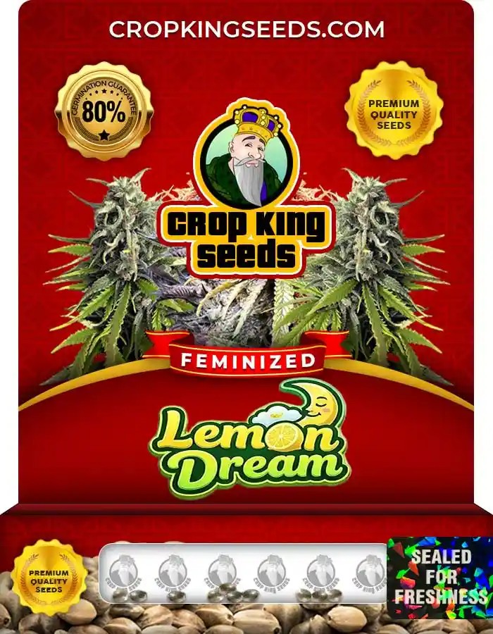Lemon Dream Feminized Seeds