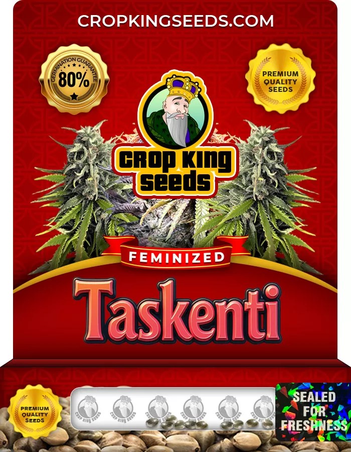 Taskenti Strain Feminized Marijuana Seeds