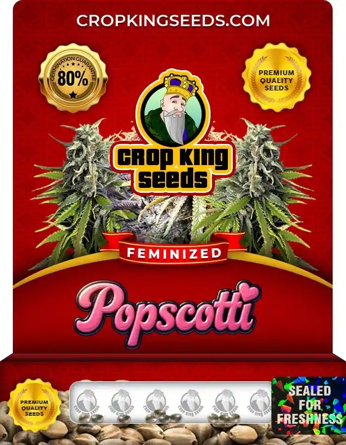 Popscotti Strain Feminized Marijuana Seeds