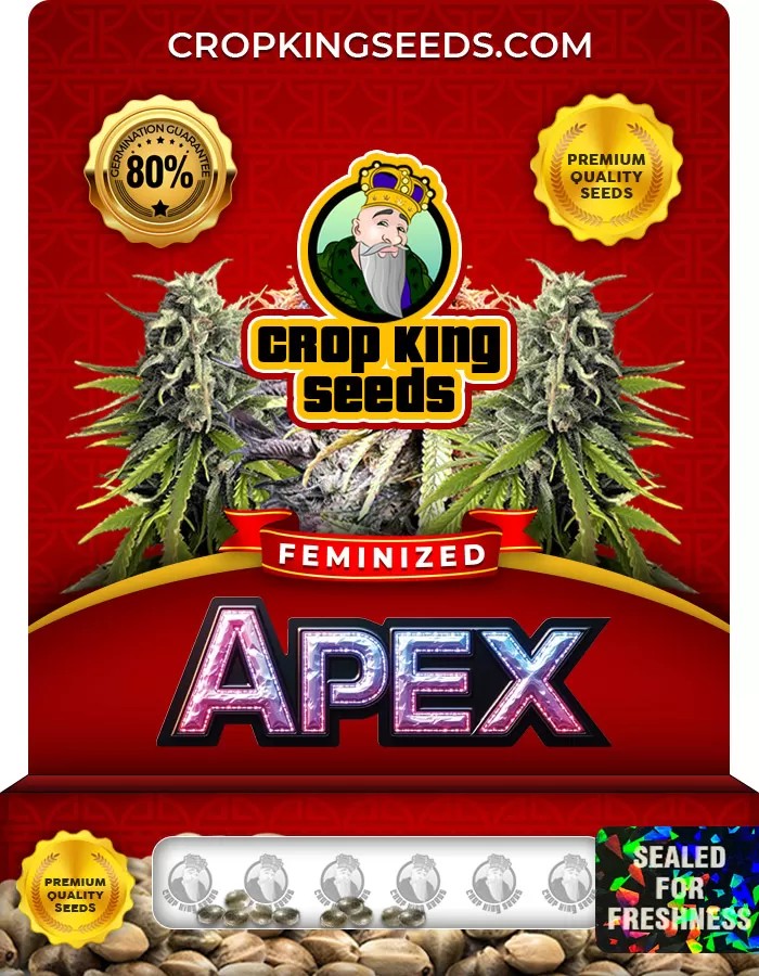 Apex Feminized Marijuana Seeds