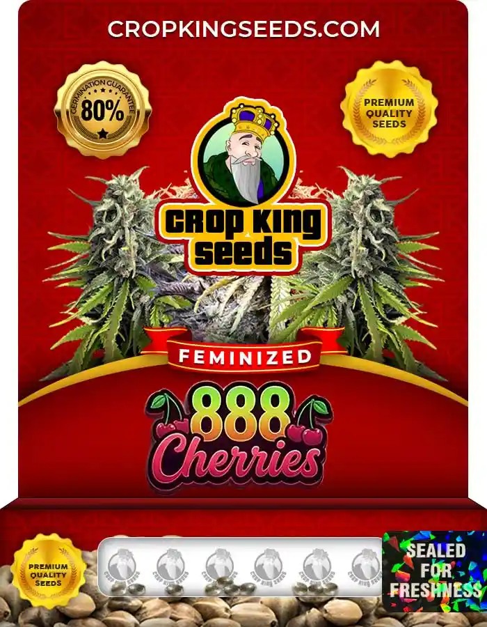 888 Cherries Strain Feminized Seeds