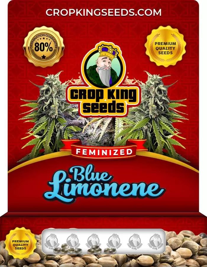 Blue Limonene Feminized Seeds