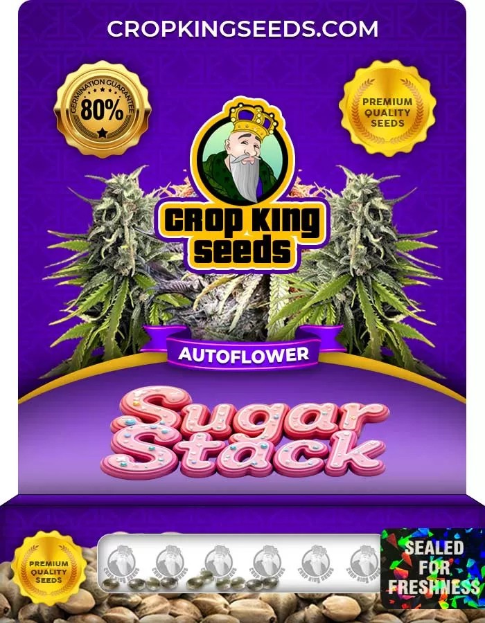 Sugar Stack Strain Autoflower Seeds
