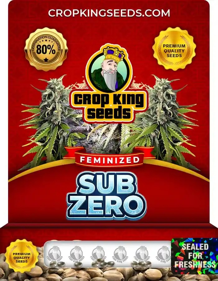 Sub Zero Strain Feminized Seeds