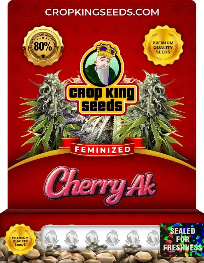 Cherry AK Strain Feminized Marijuana Seeds