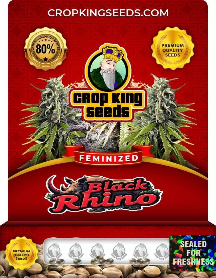 Black Rhino Feminized Seeds