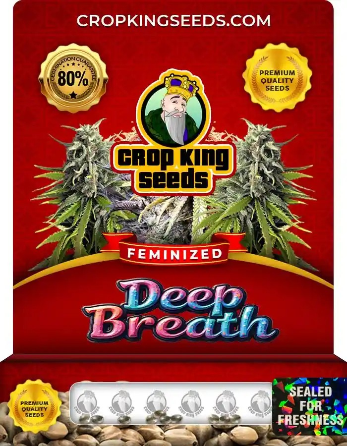 Deep Breath Strain Feminized Marijuana Seeds