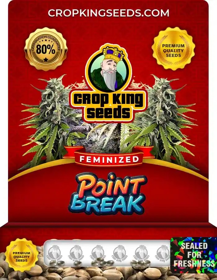 Point Break Strain Feminized Marijuana Seeds