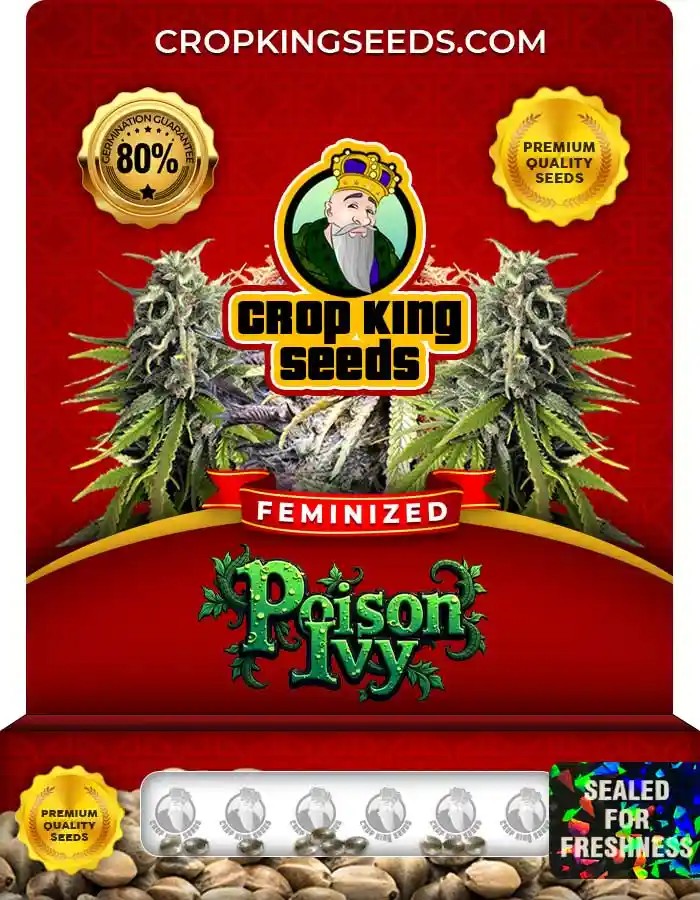 Poison Ivy Feminized Seeds