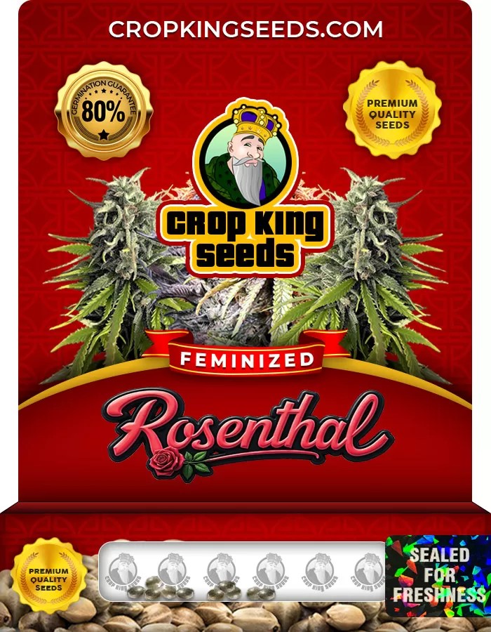Rosenthal Feminized Marijuana Seeds