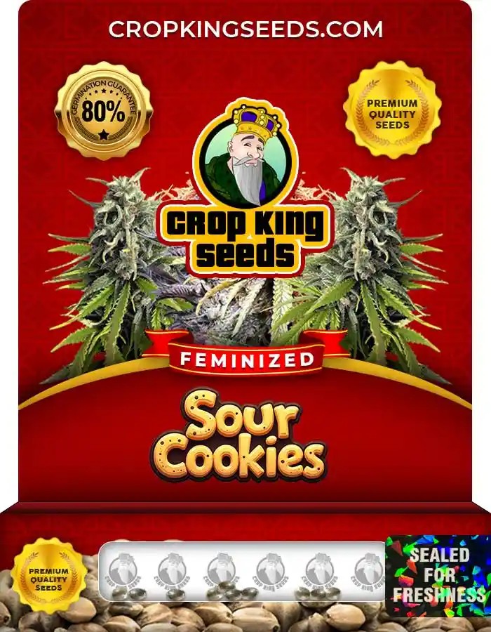 Sour Cookies Strain Feminized Marijuana Seeds
