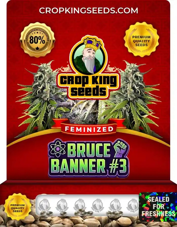 Bruce Banner #3 Feminized Seeds