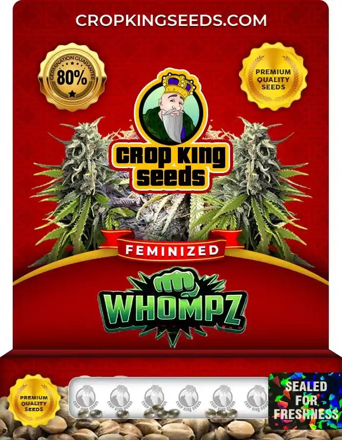 Whompz Strain Feminized Seeds