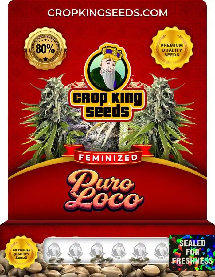 Puro Loco Strain Feminized Marijuana Seeds