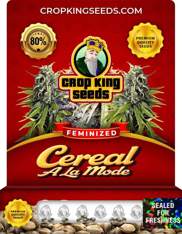 Cereal A La Mode Strain Feminized Marijuana Seeds