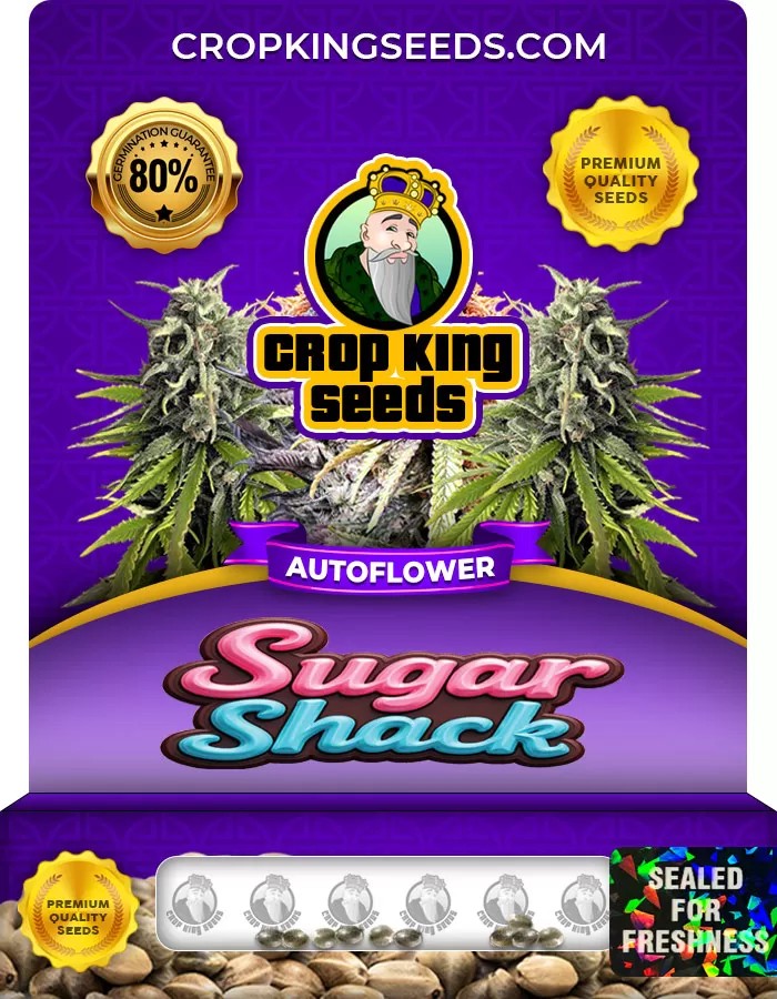 Sugar Shack Autoflower Marijuana Seeds