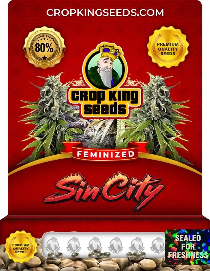 Sin City Feminized Seeds