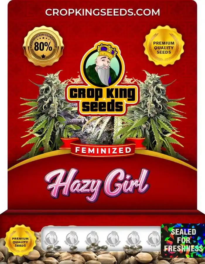 Hazy Girl Feminized Seeds