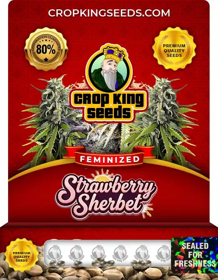 Strawberry Sherbet Feminized Seeds