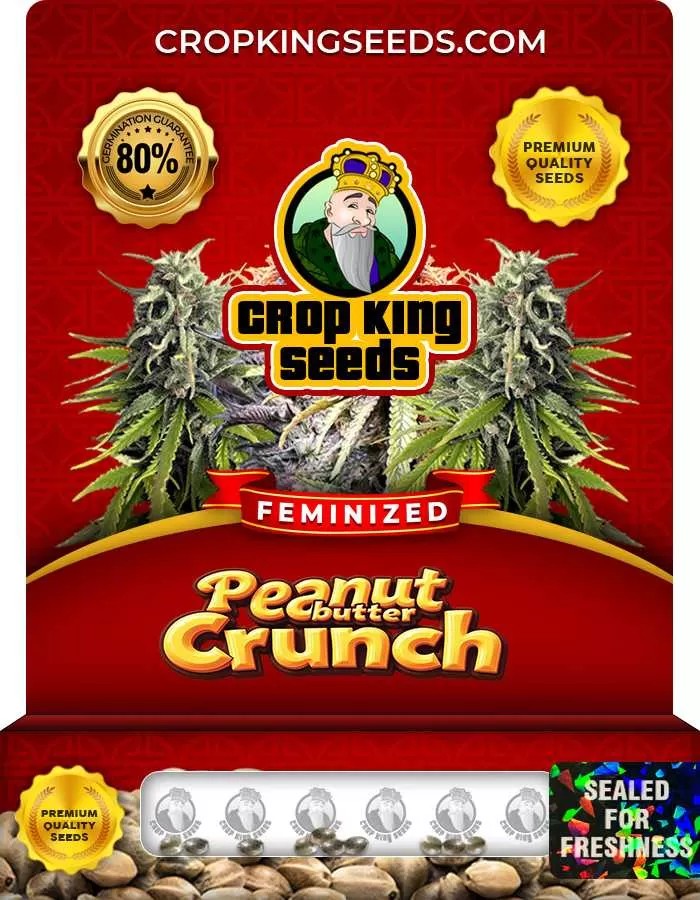 Peanut Butter Crunch Strain Feminized Marijuana Seeds