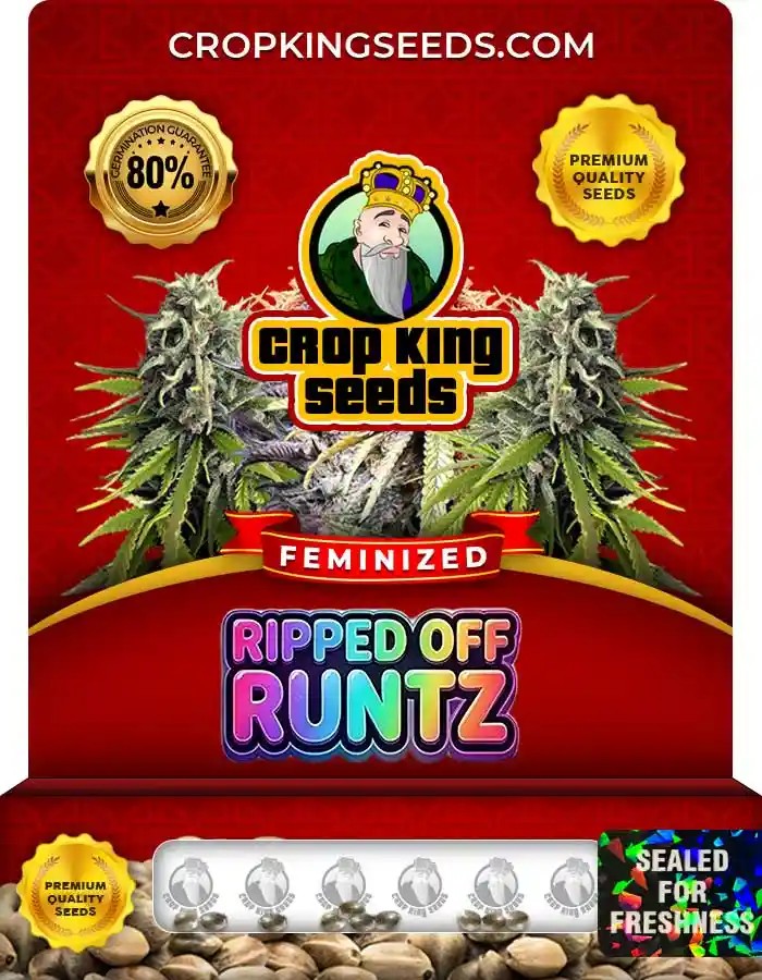 Ripped Off Runtz Strain Feminized Seeds