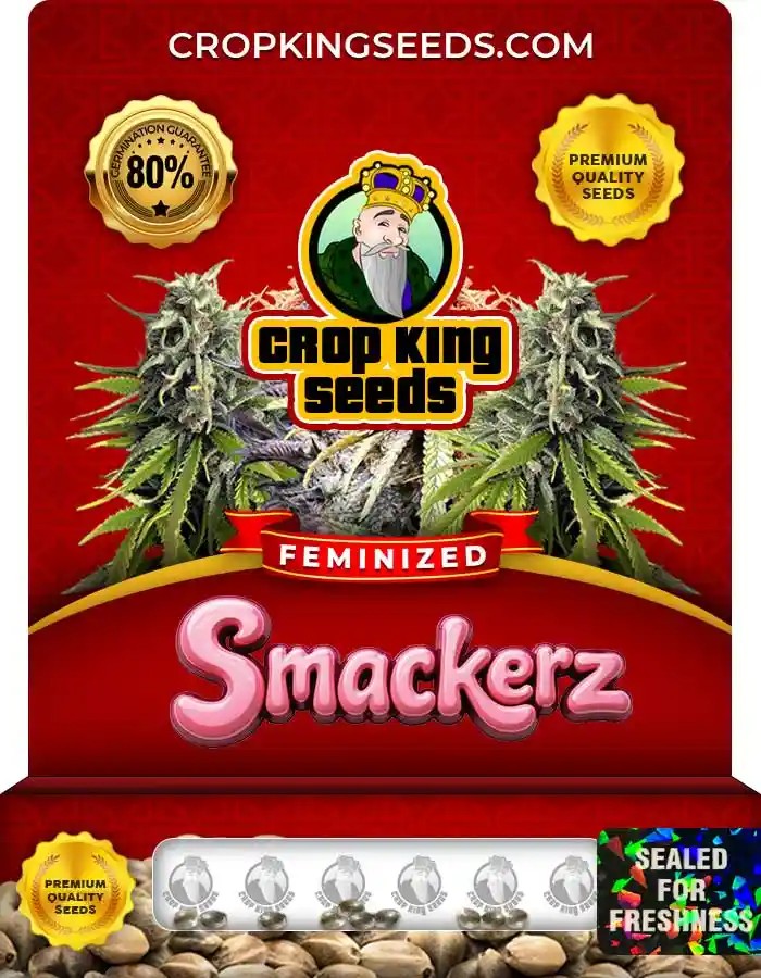 Smackerz Strain Feminized Marijuana Seeds
