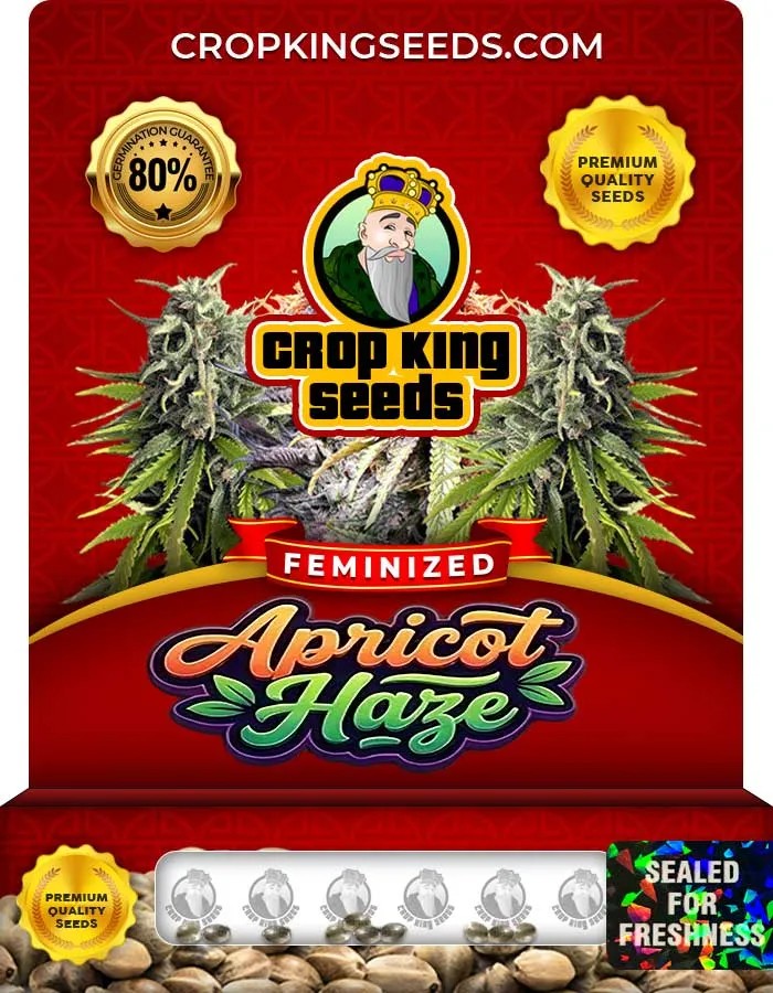 Apricot Haze Strain Feminized Seeds