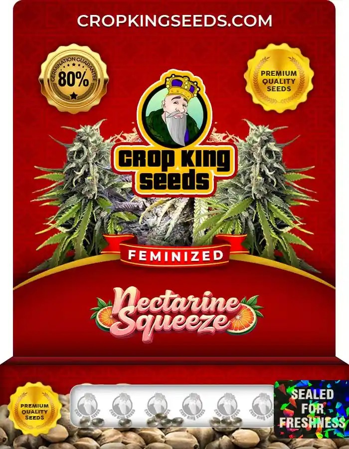 Nectarine Squeeze Feminized Seeds