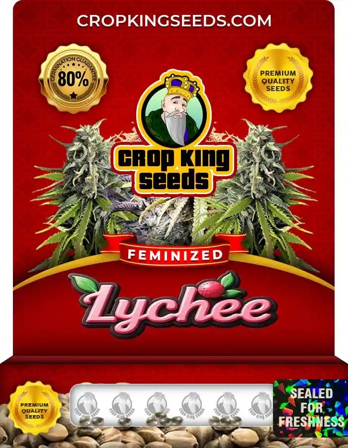 Lychee Strain Feminized Marijuana Seeds