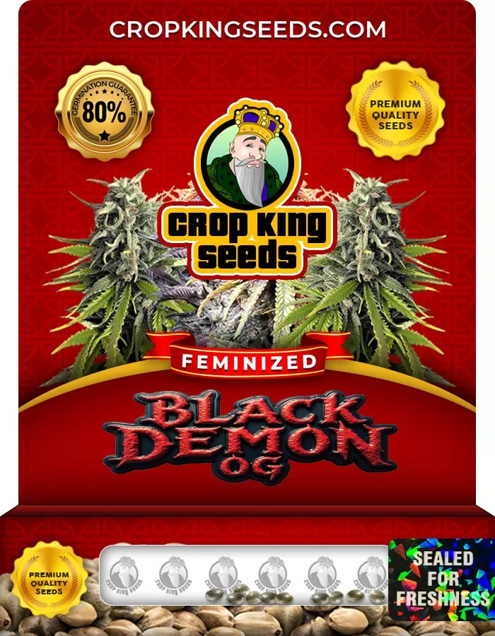 Black Demon OG Feminized Marijuana Seeds