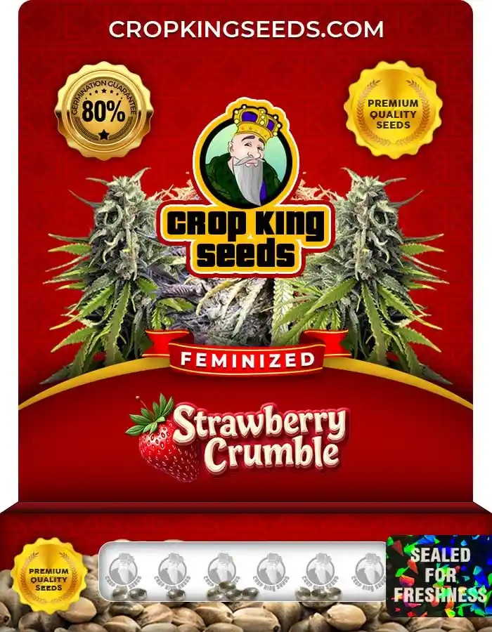 Strawberry Crumble Strain Feminized Seeds