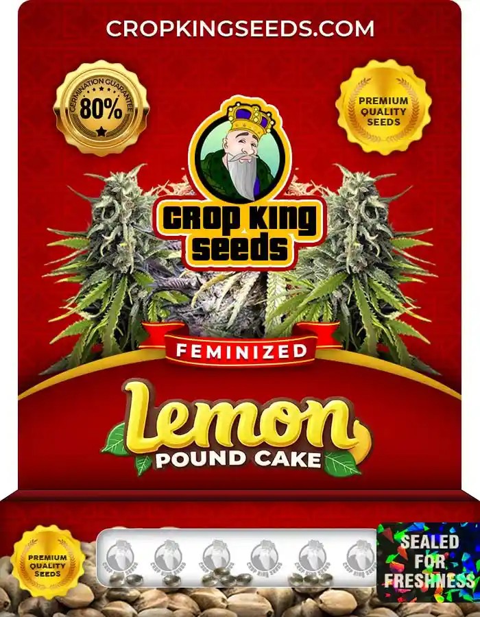 Lemon Pound Cake Strain Feminized Marijuana Seeds