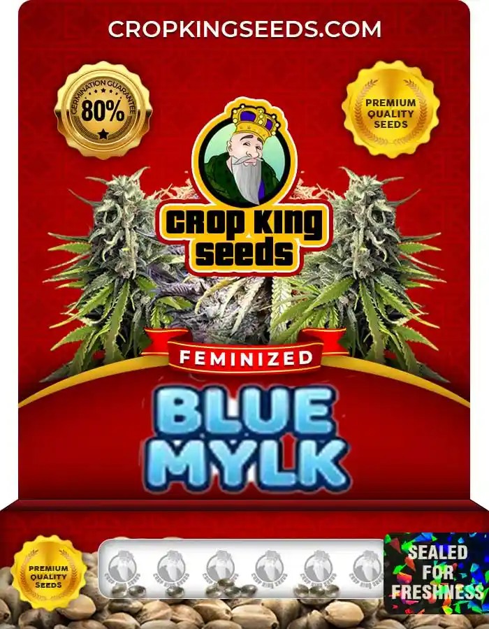 Blue Mylk Strain Feminized Marijuana Seeds