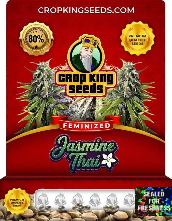 Jasmine Thai Feminized Marijuana Seeds