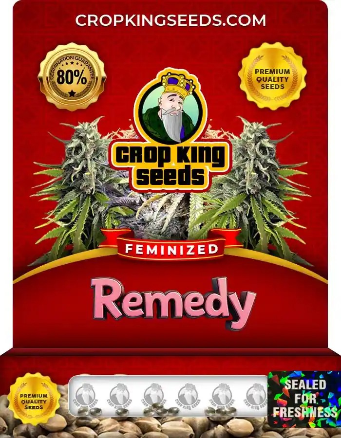Remedy Feminized Seeds