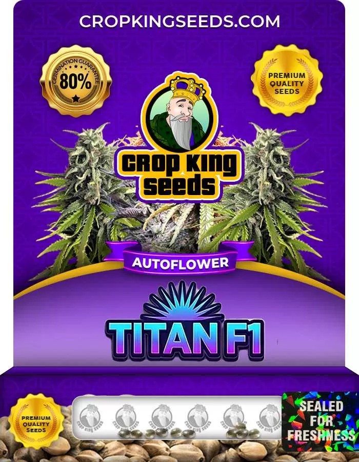 Titan F1 Autoflower Seeds