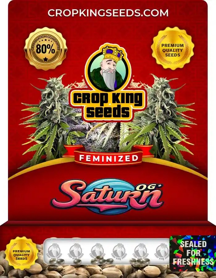 Saturn OG Feminized Seeds