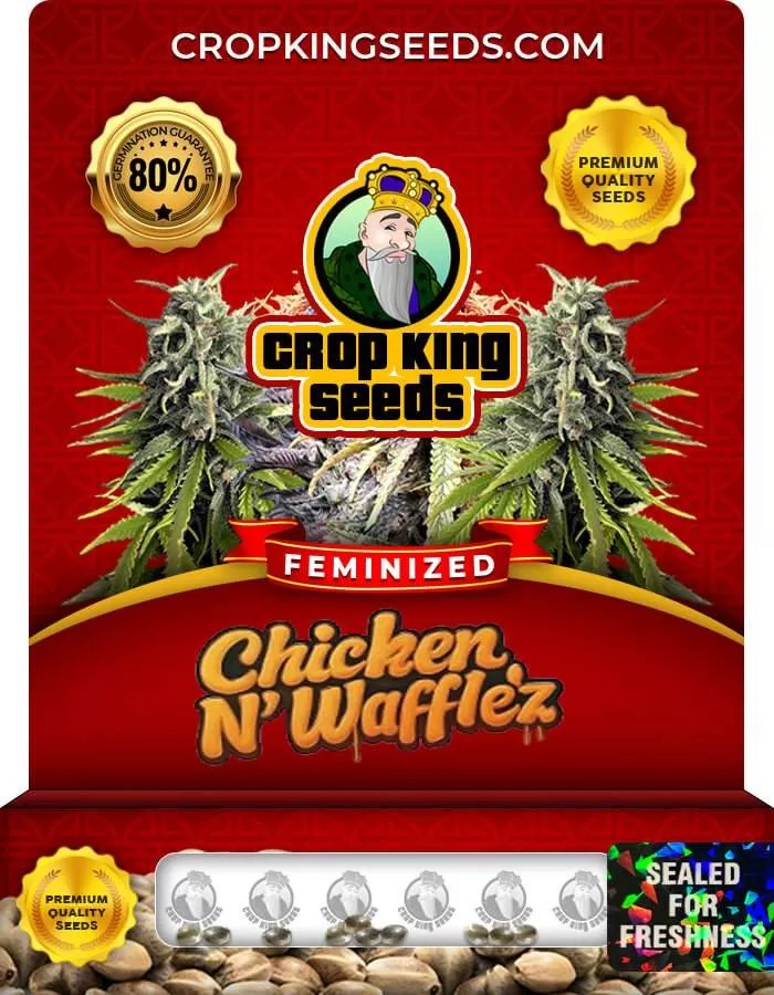 Chicken N Wafflez Strain Feminized Seeds